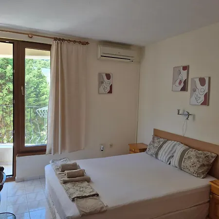 Guest house Maxim 3*