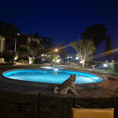 Maxim - Free Parking 3* Warna